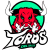 德尔瓦莱公牛